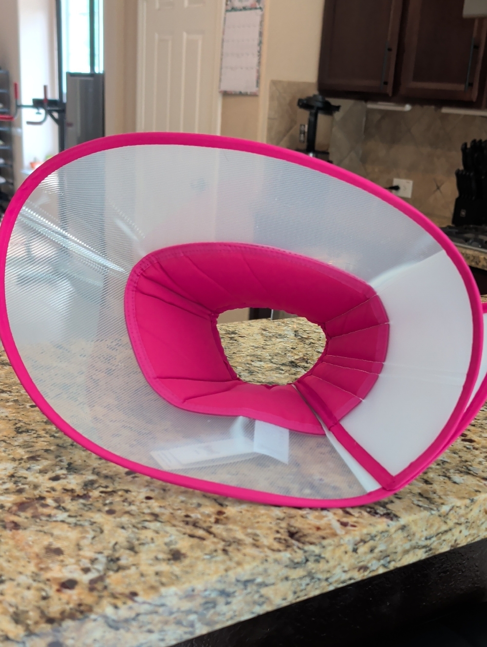 Pink Pet Recovery Collar — Soft Padded Elizabethan Cone - Picture 1 of 1